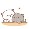 Cat peach 3 30
