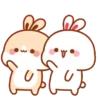 Kelinci bucin 7
