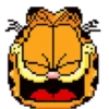 Garfield 1 9