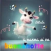 BUONANOTTE BUONGIORNO  12