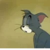 Tom e Jerry 🐈🐀 7