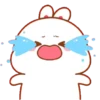 Kelinci gemoy  5