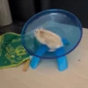 Hámster🐹⭐ 19