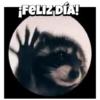 🎶Pedro, Pedro🦝Mapache🎶 8