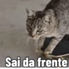 FoFuSpEtS 21