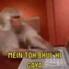 MEIN TOH BHUL HI GAYA