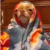 MOOD DO DIA: FRIO ❄️ 6