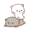 Kucing Gemoy 15