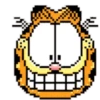 Garfield 1 11