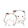 Little cute fatty cat 23