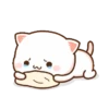 Kucing gemoyy 22