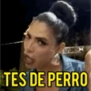 Perdidas y Las de Apelo  26