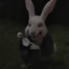 ⏱️🐰 Conejo con reloj 2 🐰⏱️ 18