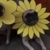 Entrega de flores amarillas 🌻 6