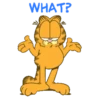 Garfield 1 23
