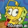 Bob esponja 🧽 15