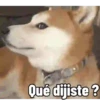 Perros 01mov 7