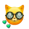 PALMEIRAS  12