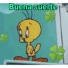 Piolin 2.0 21