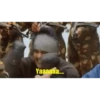 Gif 5