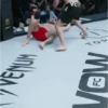 🧿Ilia Topuria UFC👊🏻✊🏻 12