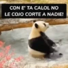 CON E' TA CALOL NO LE COJO CORTE A NADIE!