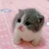 Random Reaction 13