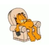 Garfield  19