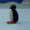 Pinguzinho 🐧🐧 15