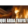 Varios gata 21