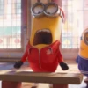 Memes dos minions 💛 5
