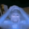 Reações de macaquinhos 🤣 6