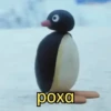 bxod