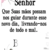 PALMEIRAS  24