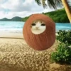 ᱙᱙   ˳   Meowl   ׅ   𐀴᷼𐀴 23