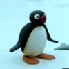 PINGUM🐧 8