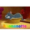 BUONANOTTE BUONGIORNO  11