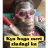 Lord Puneet  17