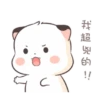 Little cute fatty cat 8