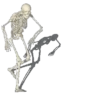 Shitpost 💩 5
