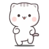 Kucing gemoyy 19