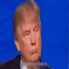 Donald Trump 16