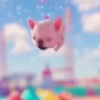 Pibble 🐶 | Perrito Tiktok  16