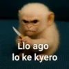 Rey Mono 4 17