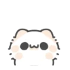 Cute Cat Bucin ❤️ (GIF) 14
