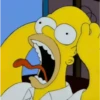 Os Simpsons 23