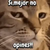 Si mejor no opines!!