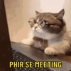 PHIR SE MEETING