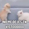NO ME DEJES EN VISTO ✔️✔️😾 6