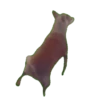 Gatinhos animados 12
